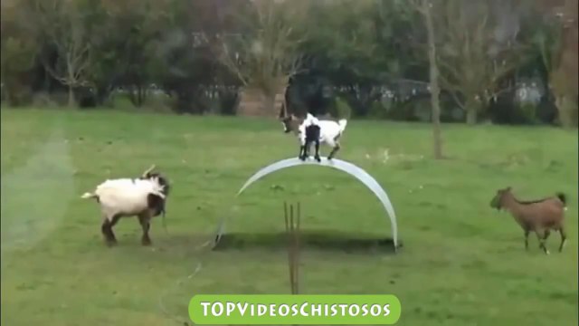 Caidas y videos graciosos 2014 Super caidas chistosas - Chistosos - Caidas Graciosas de Risa 2014