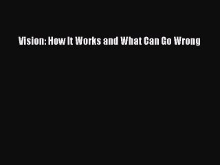 Download Vision: How It Works and What Can Go Wrong PDF Free