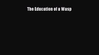 Download The Education of a Wasp PDF Free