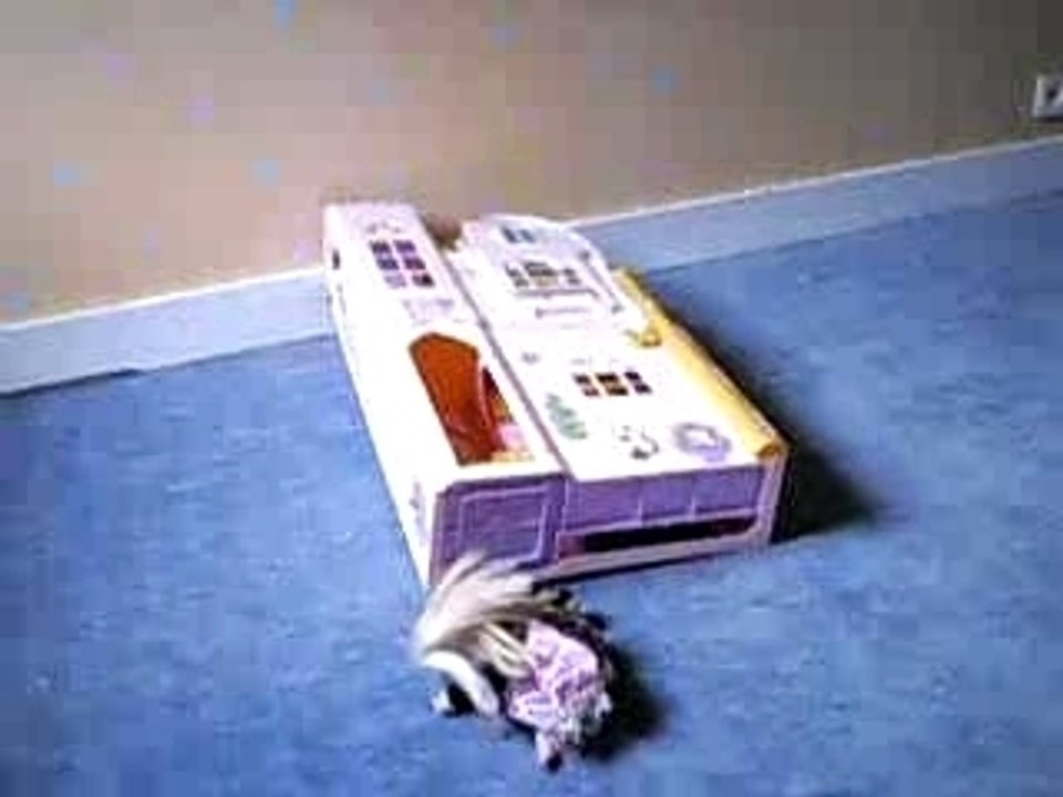 le11 septembre 2001 au pays des merveilles