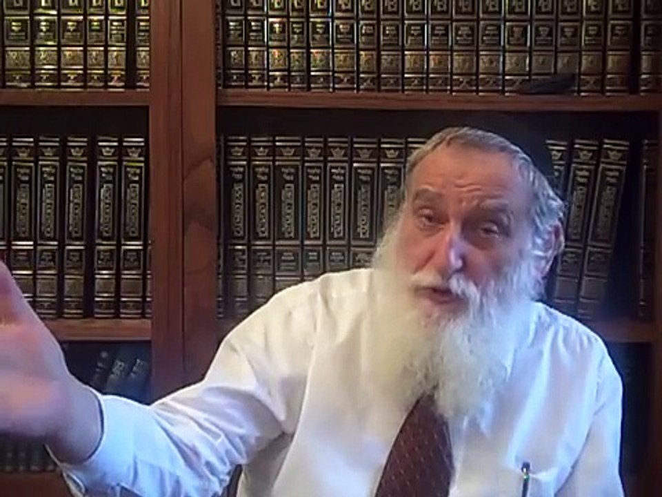 evolution and the "stupid" rabbi