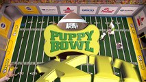 Watch What Happens When Puppy Andy Cohen Takes the Field