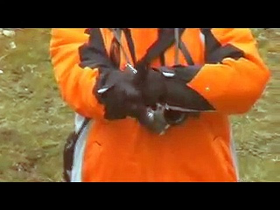 368: LOS CRÍMENES DE BENATANDUZ