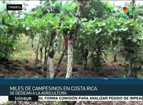 Productores rechazan que Costa Rica ingrese a la Alianza del Pacífico