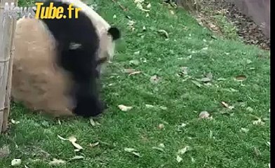 Si personne ne joue avec moi je...