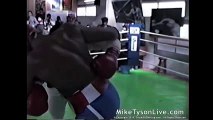 Mike Tyson Sensational Sparring - No Head Gear  Biggest Boxers