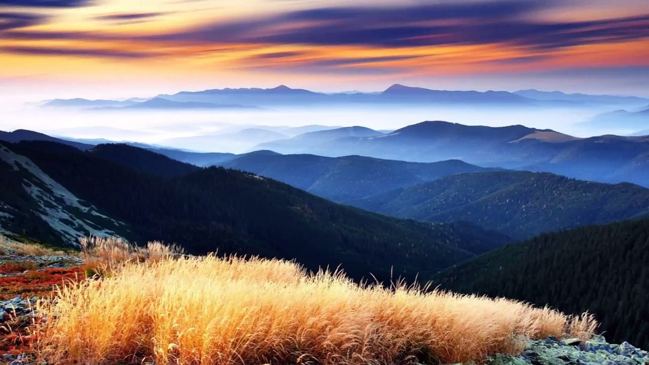 Йорданка Илиева-Запяла е Милка