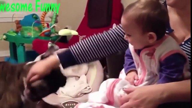 Clip Hai Huoc - Khi Em Bé Chơi Cùng Chó Và Mèo