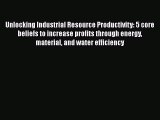 PDF Unlocking Industrial Resource Productivity: 5 core beliefs to increase profits through