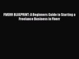 PDF FIVERR BLUEPRINT: A Beginners Guide to Starting a Freelance Business in Fiverr  EBook
