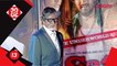 Amitabh Bachchan praises his grand daughter, Navya Naveli Nanda - Bollywood News - #TMT