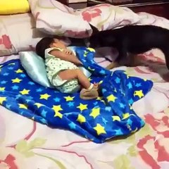 GREAT VIDEO MUST WATCH (14)