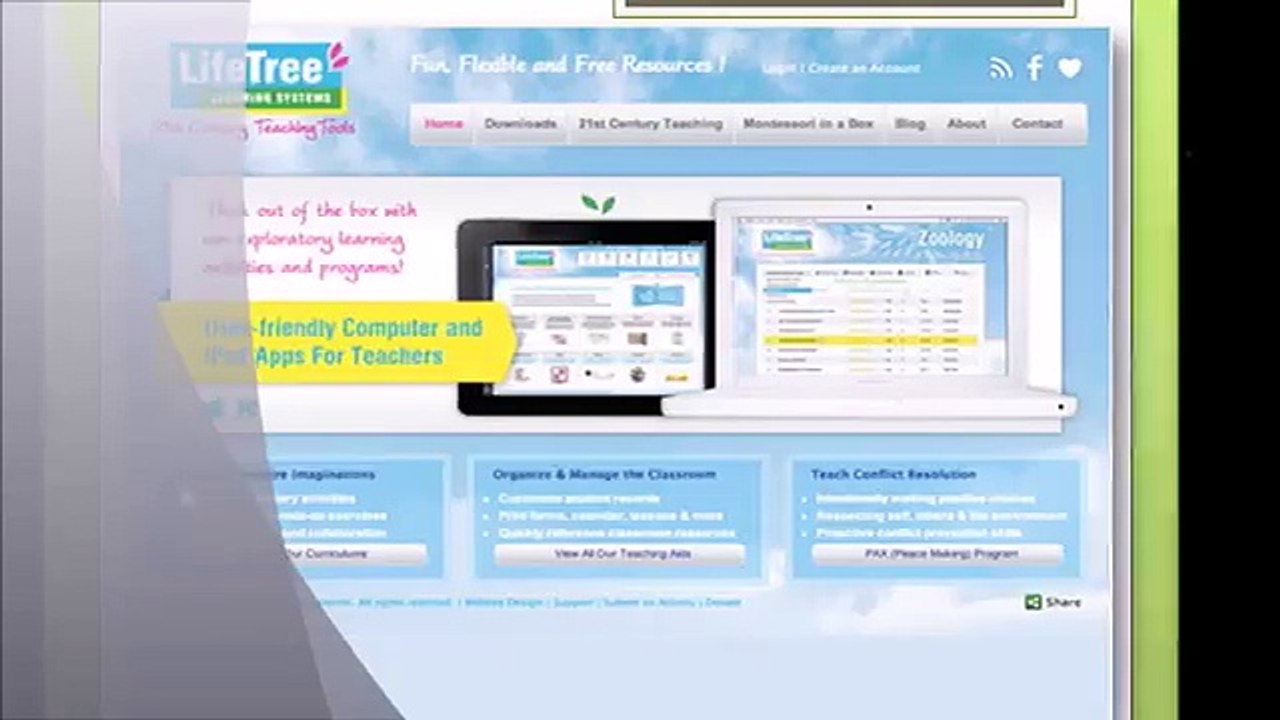 Denver Web Design - www.3magicbeans.com