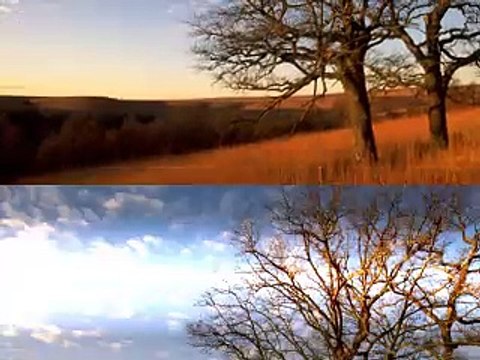 Woody Guthrie - This land is your land (not)