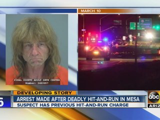 Arrest made after deadly hit-and-run in Mesa