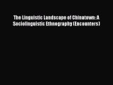 Download The Linguistic Landscape of Chinatown: A Sociolinguistic Ethnography (Encounters)