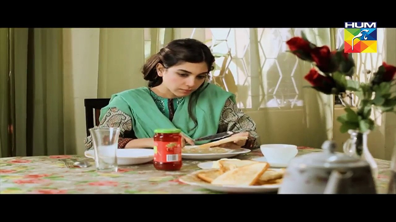 Kisay Chahoon Episode 14 Full HUM TV Drama 7 Mar 2016