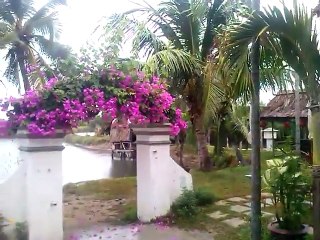 Ferry Homestay Villa - Hoi An Charming Villas - hoiancharmingvillas com