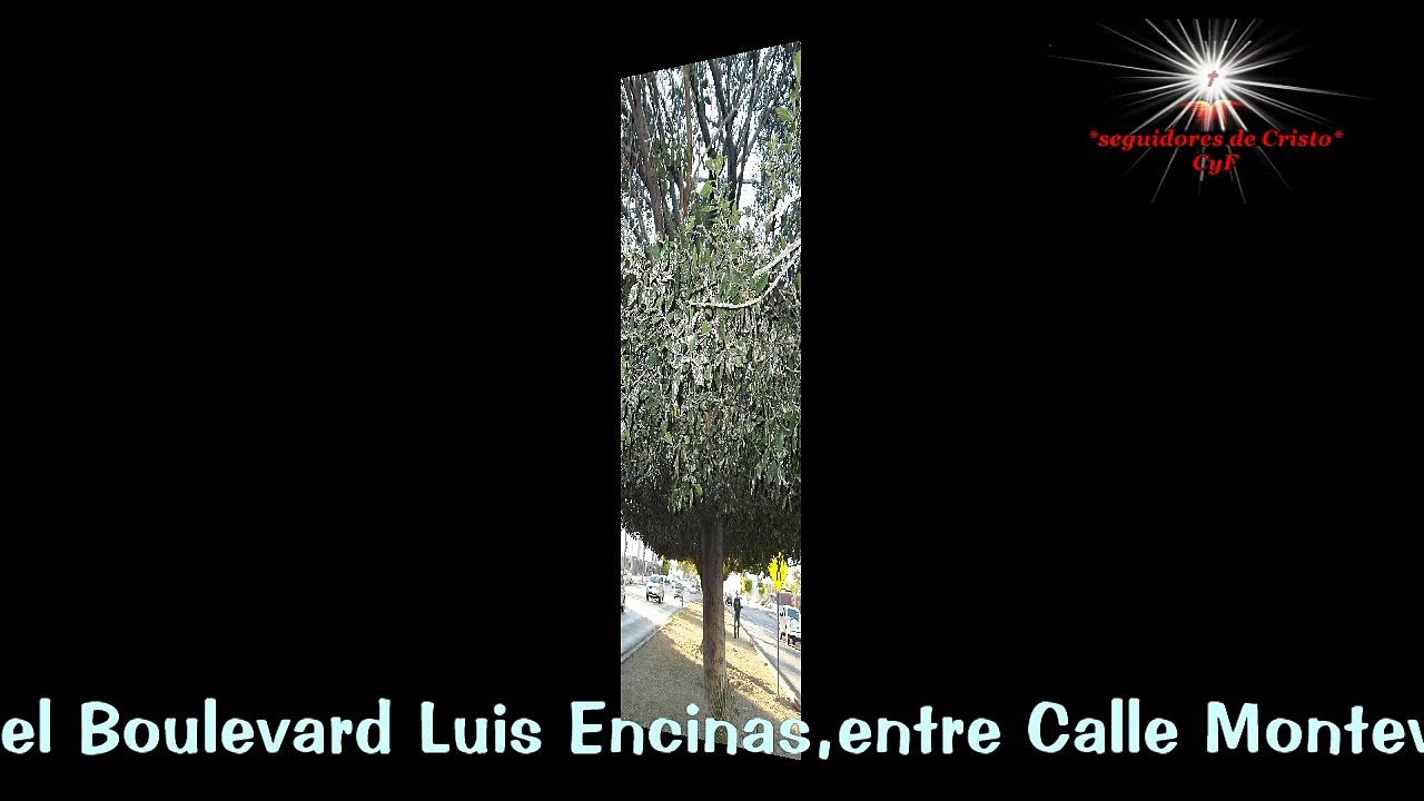 Hermosillo nevado???
