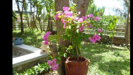 Rock Villa Hoi An - Hoi An Charming Villas - hoiancharmingvillas com