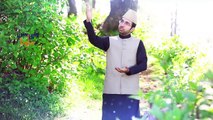Awaien RalDay Nay Loki Teray Nal Sohneya by Sahebzada Owais Sabri (Naqeeb-E-Pakistan) - New Naat Album [2015] Naat Online