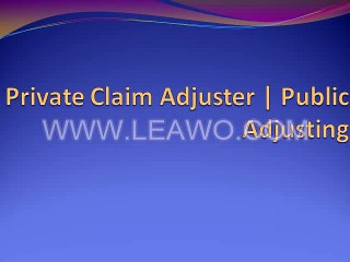 Private Claim Adjuster