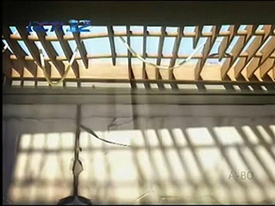 LARVA - episode Spaghetti