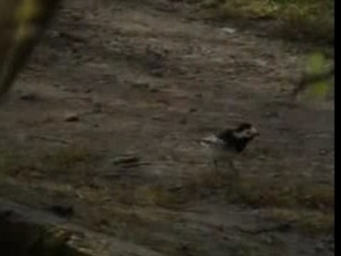 Design Project - re-edited