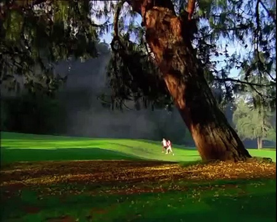 Premier Non Stick Cookware