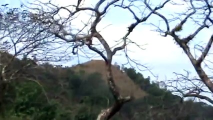 Paramada, Idukki District, Kerala, India