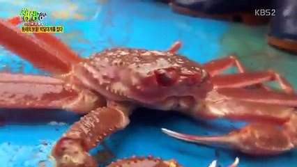 2TV 저녁.E245.160318 -1