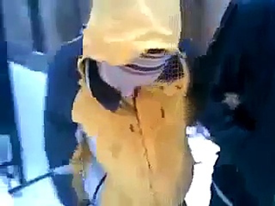Смешное видео!Малолетние невменяемые наркоманы! Юмор