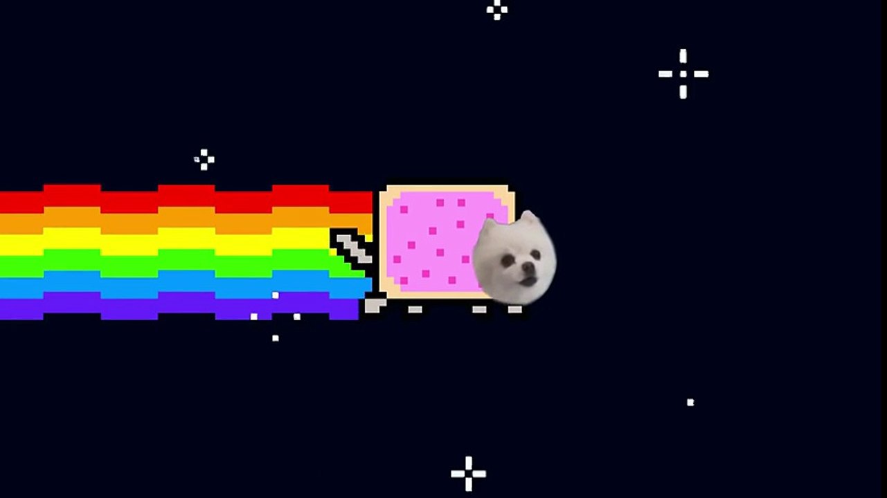 [2016] Nyan Dog ft. Gabe