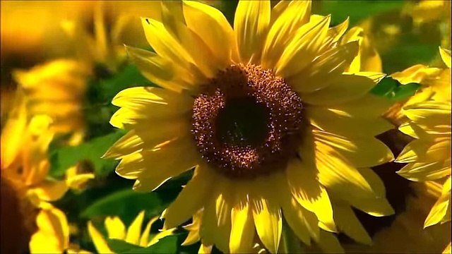 the most beautiful Quran Recitation Heart Touching Really emotional