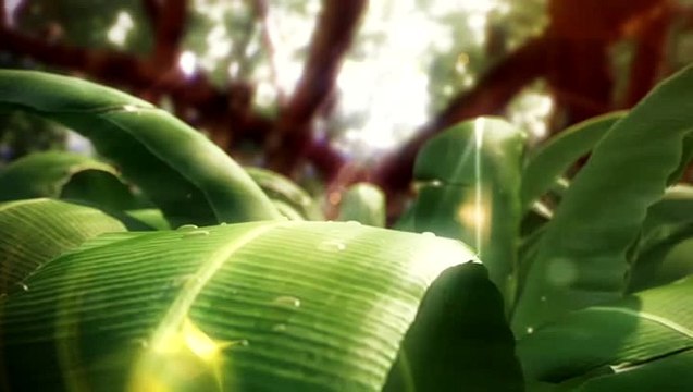 Cortinilla Telecinco - Supervivientes 2016