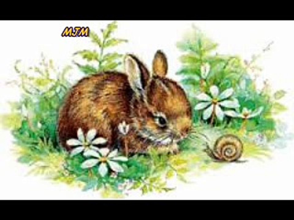 Mon petit lapin --- Chansons enfantines