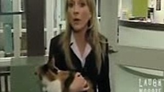 Funny Compilation Reporters Vs Animals