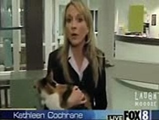 Funny Compilation Reporters Vs Animals