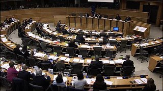 Simplification des fonds européens : intervention de Marc Joulaud en commission du développement régional