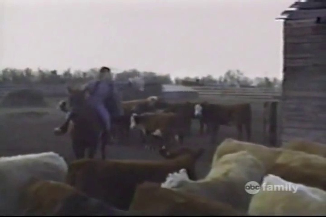 America's Funniest Home Videos Part 48 _ HollyBollyGo.com