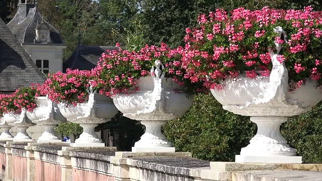 Châteaux of Loire Valley in France - castles - Château de Chenonceau & Chambord