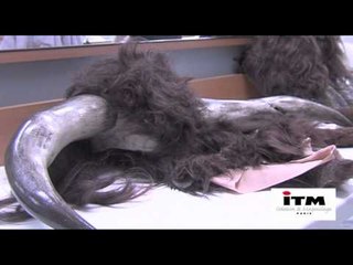 Fabriquer un maquillage - Le Minotaure - Chloé Ribero - école de maquillage ITM Paris 2011