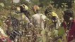Burkina faso, Le secteur agricole est pleine mutation
