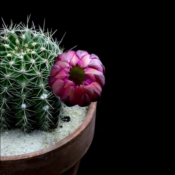 ¡Ya es primavera!