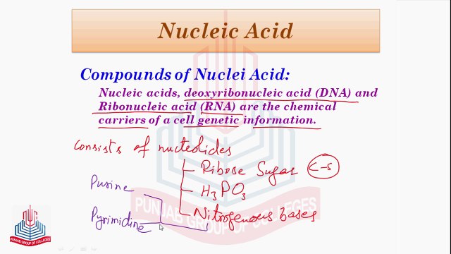 Compounds & Function of Nucleic Acid ,Structure of DNA & Difference between DNA and RNA