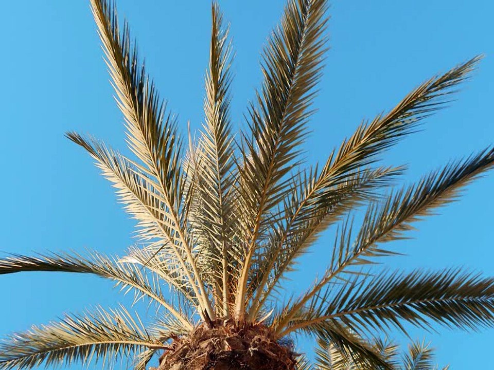 Rêve d'Espagne : Location de vacances / Vente maison appartement