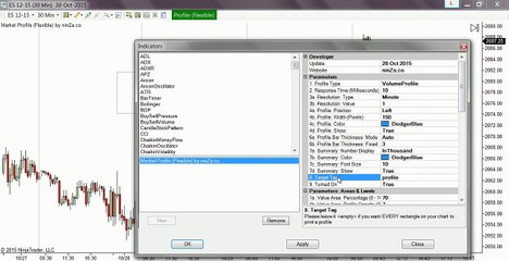 NinjaTrader- Quickly Draw User-Defined Market Profile