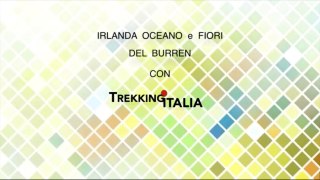 Irlanda: Oceano e Fiori del Burren
