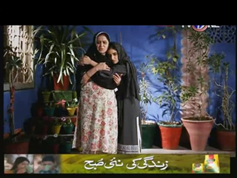 Yeh Junoon Episode 18 on Tv One