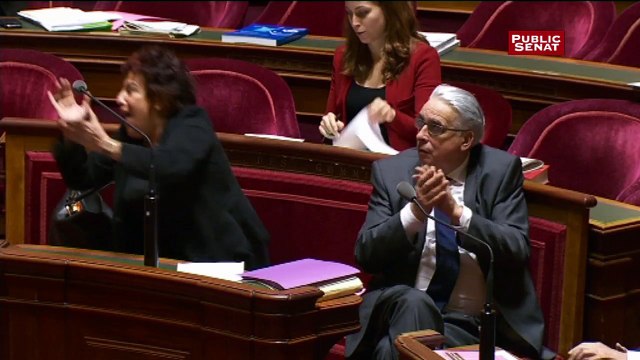 Quand le Sénat votait le droit de vote des étrangers aux élections locales en décembre 2011
